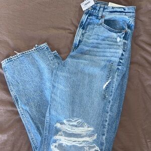 AE Highest Rise Baggy Straight Jean (Strigid)